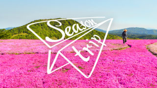 【愛知・岐阜・三重】春に行きたい！”花の絶景”スポット2020