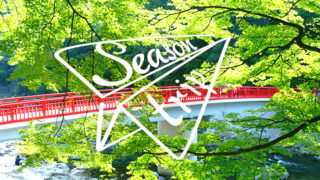 【愛知・岐阜・三重】春から初夏の絶景！癒しの新緑スポット2020