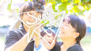 【愛知・岐阜・三重】もぎたての果実を満喫！秋の味覚狩り