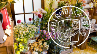 お気に入りの雑貨でおうち時間が充実！暮らしを彩る瀬戸めぐりへ