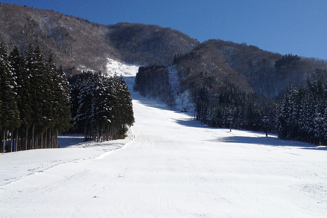 白弓スキー場
