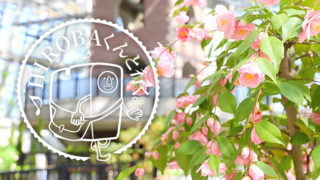 安城産業文化公園デンパーク