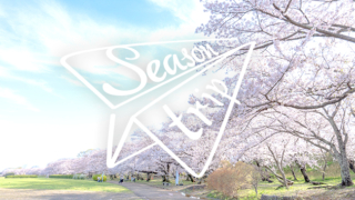 さくら名所100選