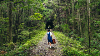 旧豊橋鉄道田口線