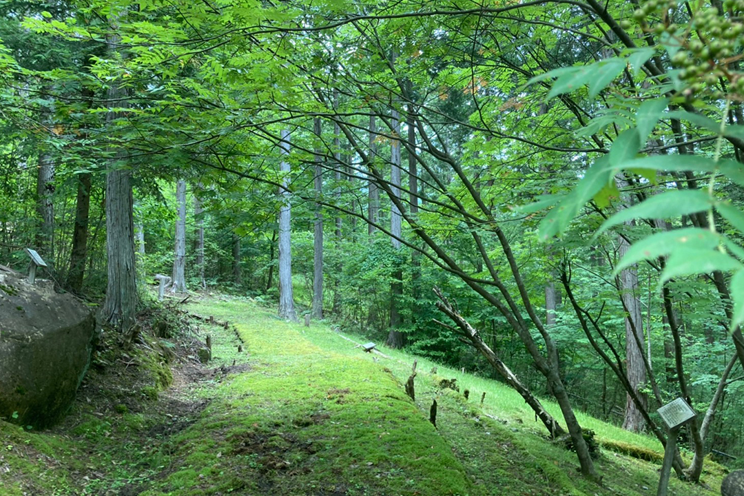 ウォーキング　苔　下呂　四美の森