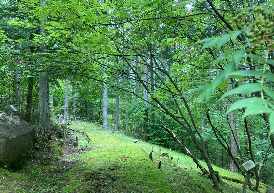 ゆきあき・ウォーキング　四美の森コース　下呂