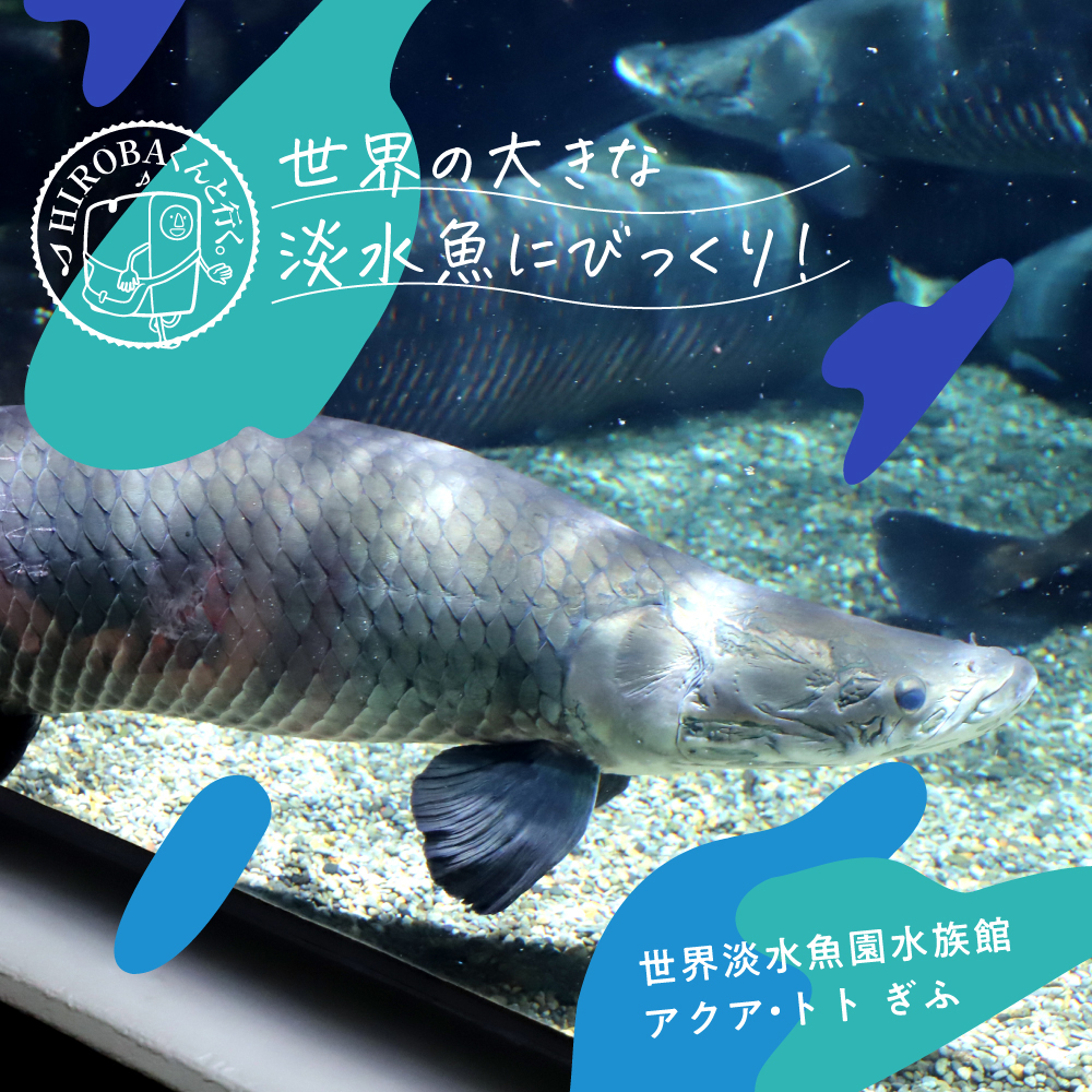 世界淡水魚園水族館【アクア・トト ぎふ】