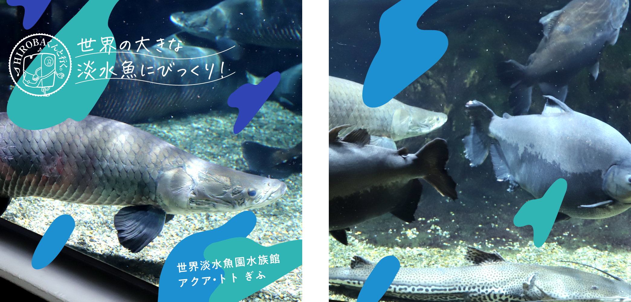 世界淡水魚園水族館【アクア・トト ぎふ】