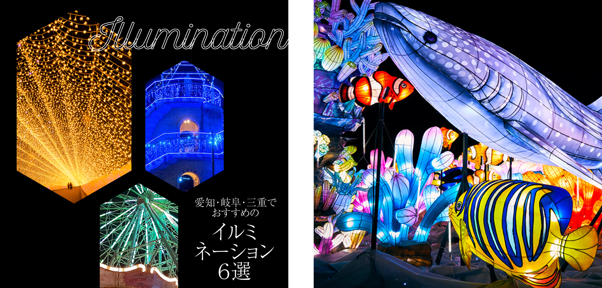 slider-seasontrip-26 (1)