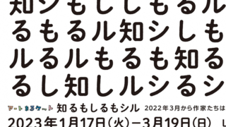 知るもしるもシル　アートまるケット　岐阜県美術館　L PACK.　plaplax