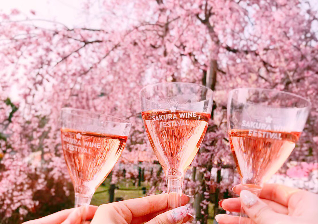 お花見もグルメも満喫！愛知・三重でおすすめの【桜まつり】 | HIROBA！