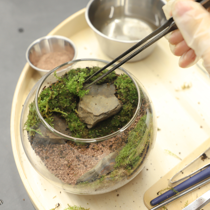 THE GREEN moss design,苔テラリウム,テラリウム,グリーン,モスデザイン,名古屋,池下
