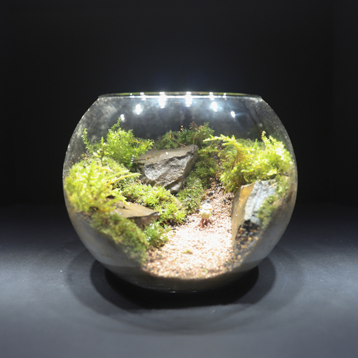 THE GREEN moss design,苔テラリウム,テラリウム,グリーン,モスデザイン,名古屋,池下