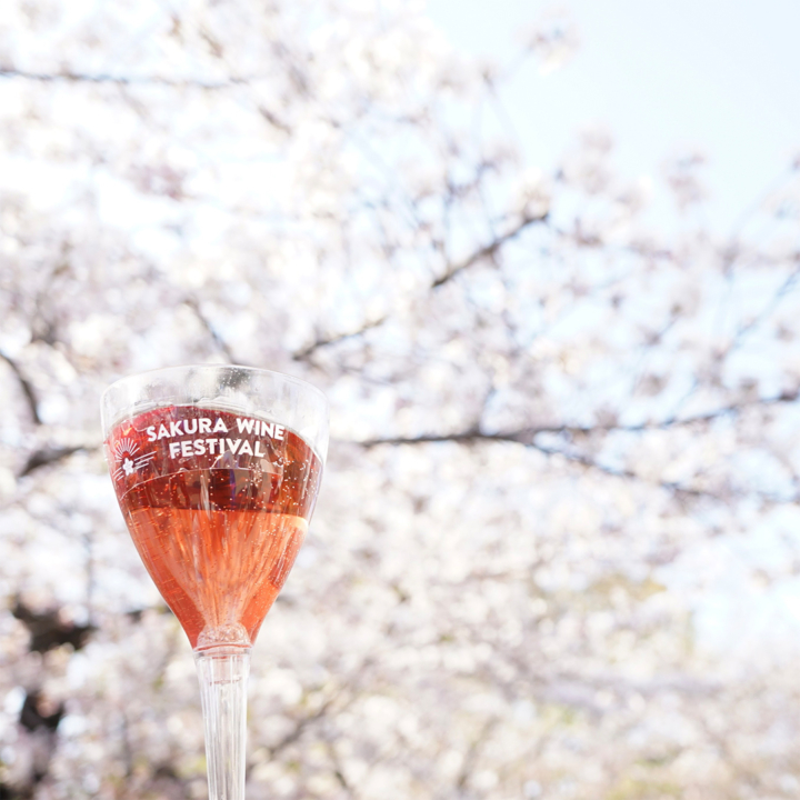 サクラワインフェスティバル,鶴舞公園,桜,お花見,ワイン