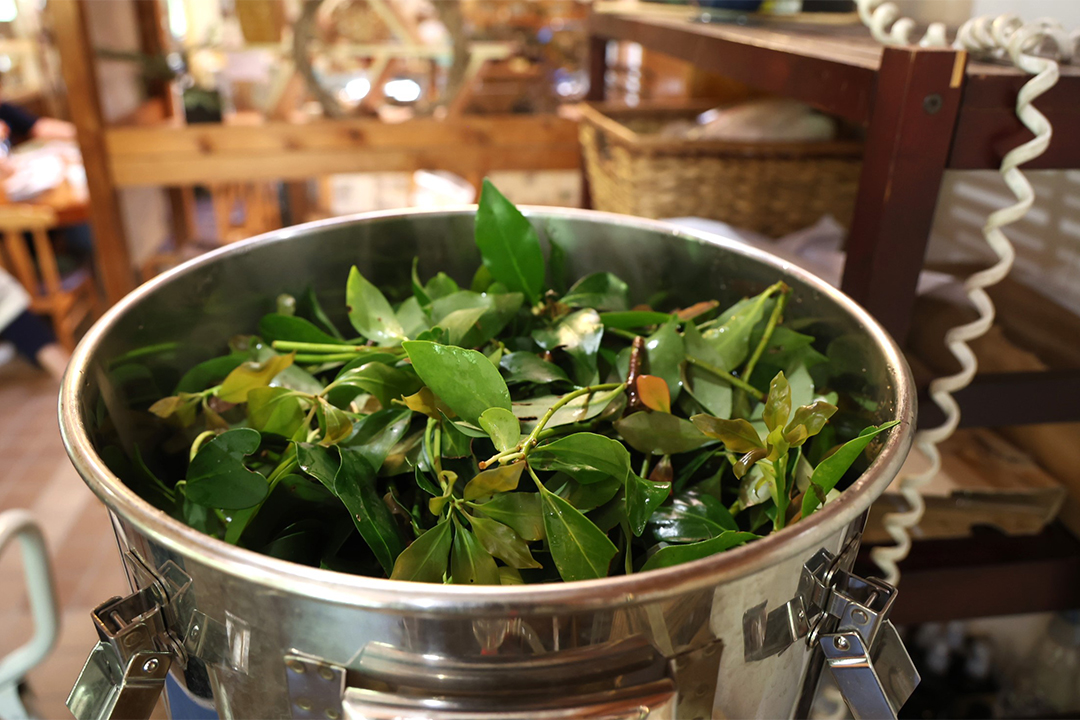 奥三河蒸留所,蒸留体験,カフェ,新城,湯谷温泉,ハーブティー,体験