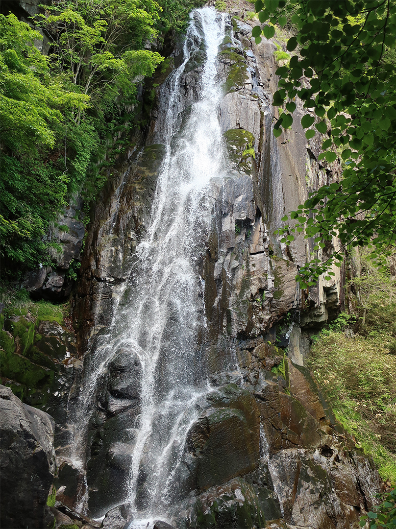 滝,愛知,岐阜,三重,マイナスイオン,名瀑,パワースポット,絶景