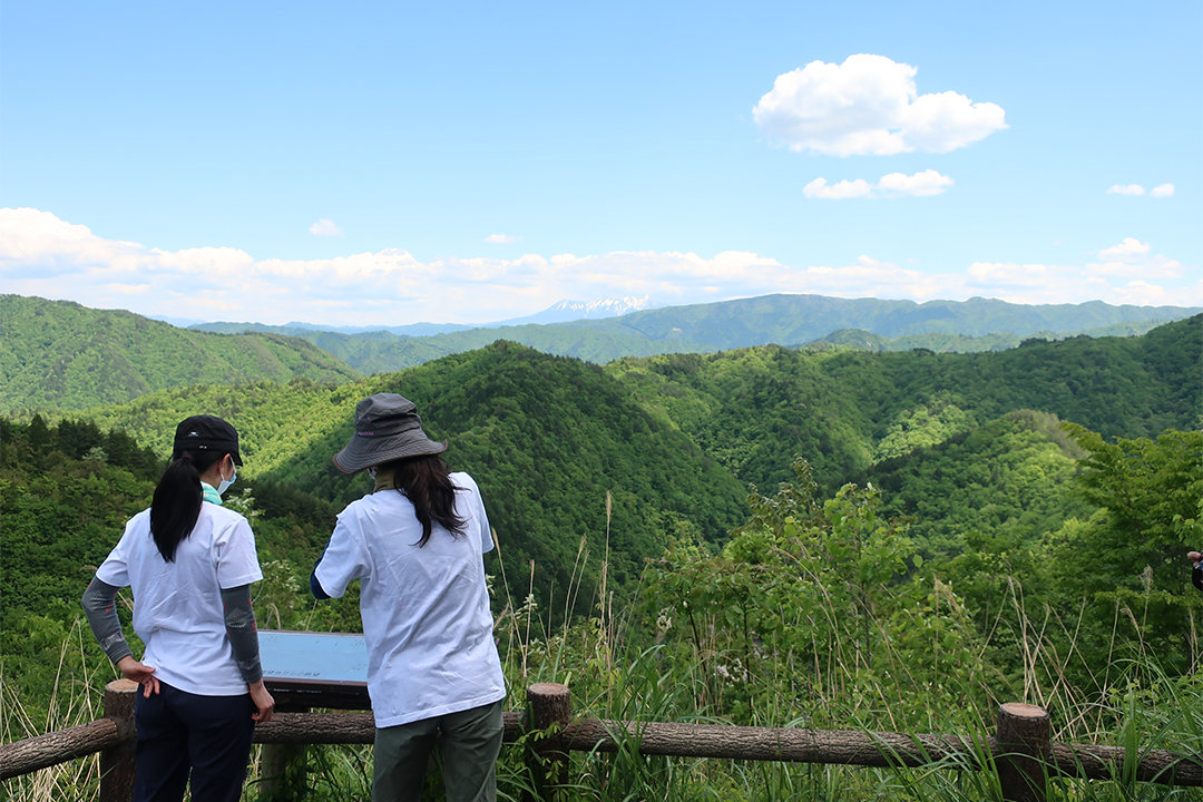 滝,愛知,岐阜,三重,マイナスイオン,名瀑,パワースポット,絶景