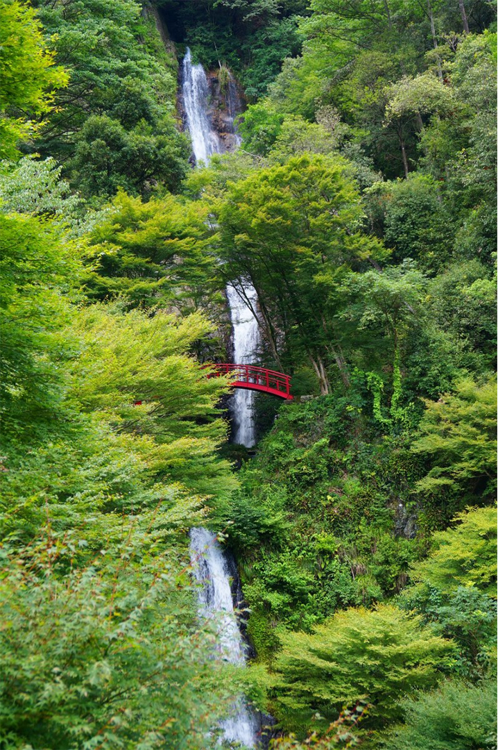 滝,愛知,岐阜,三重,マイナスイオン,名瀑,パワースポット,絶景