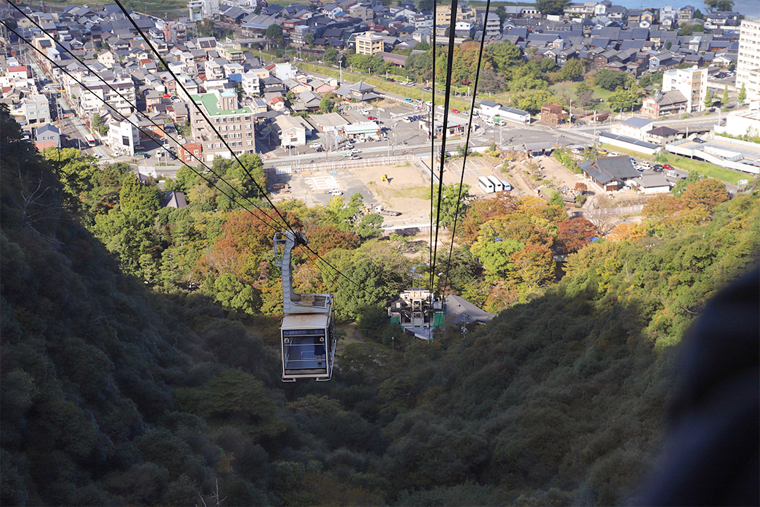 金華山,ロープウェー,リス村,岐阜城,夜景,ライトアップ