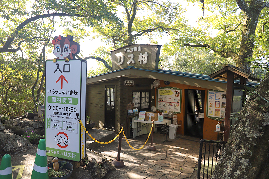 金華山,ロープウェー,リス村,岐阜城,夜景,ライトアップ