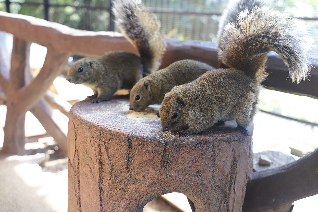 hirobakuntoiku_124-8