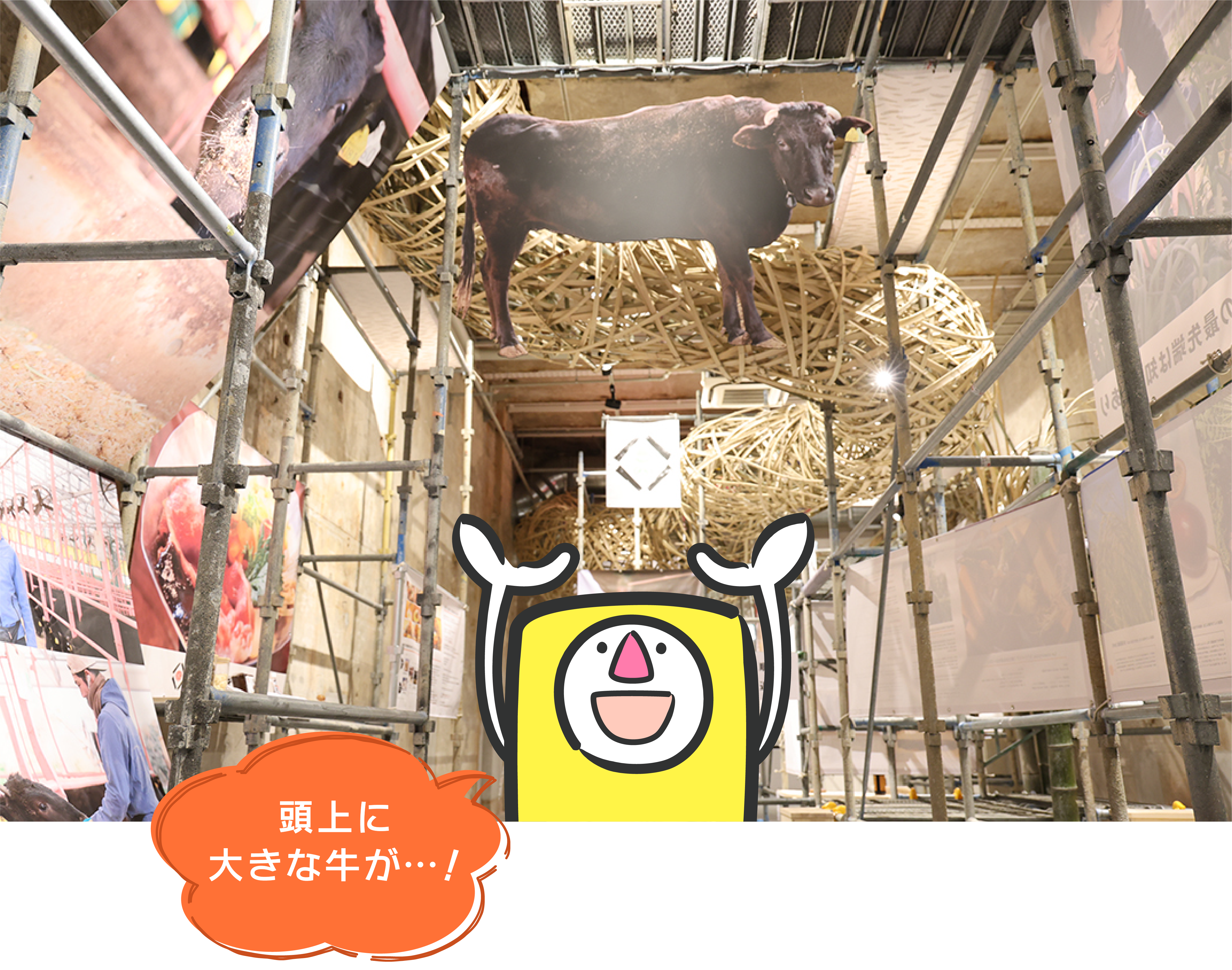 hirobakuntoiku_130-6