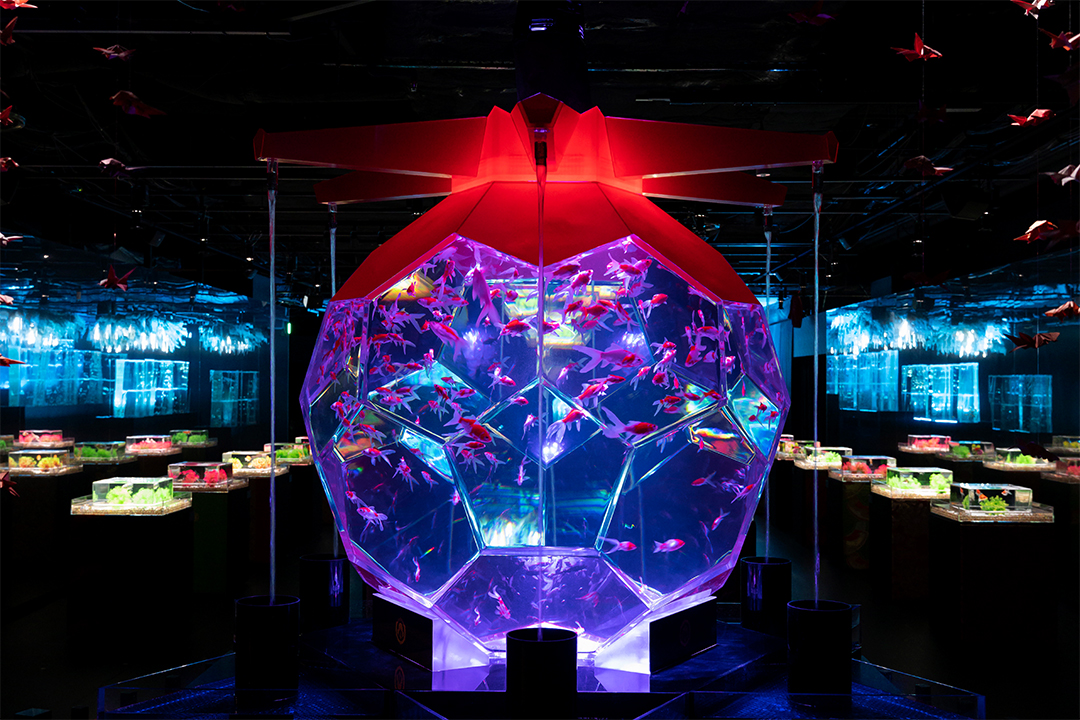 アートアクアリウム展,名古屋,中日ビル,イベント,2025