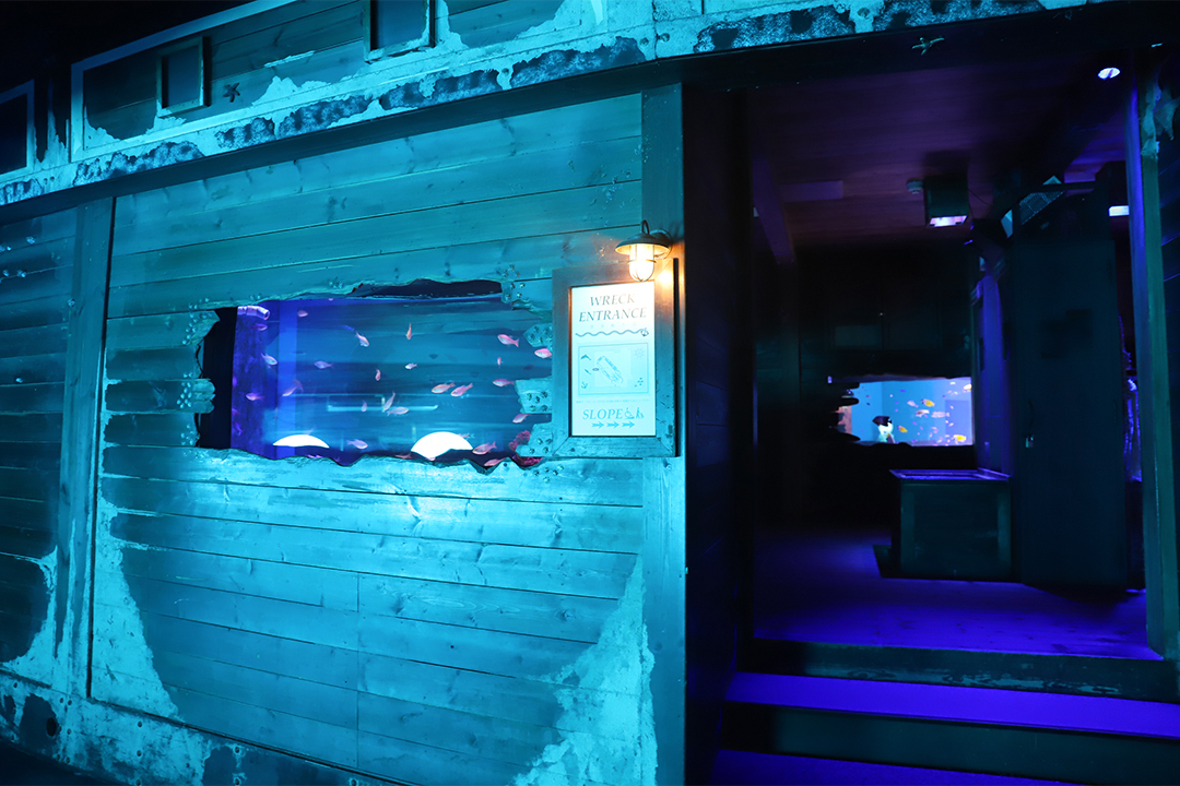 ZOOっともパーク,いきもの,ふれあい,南知多ビーチランド,イベント,2025