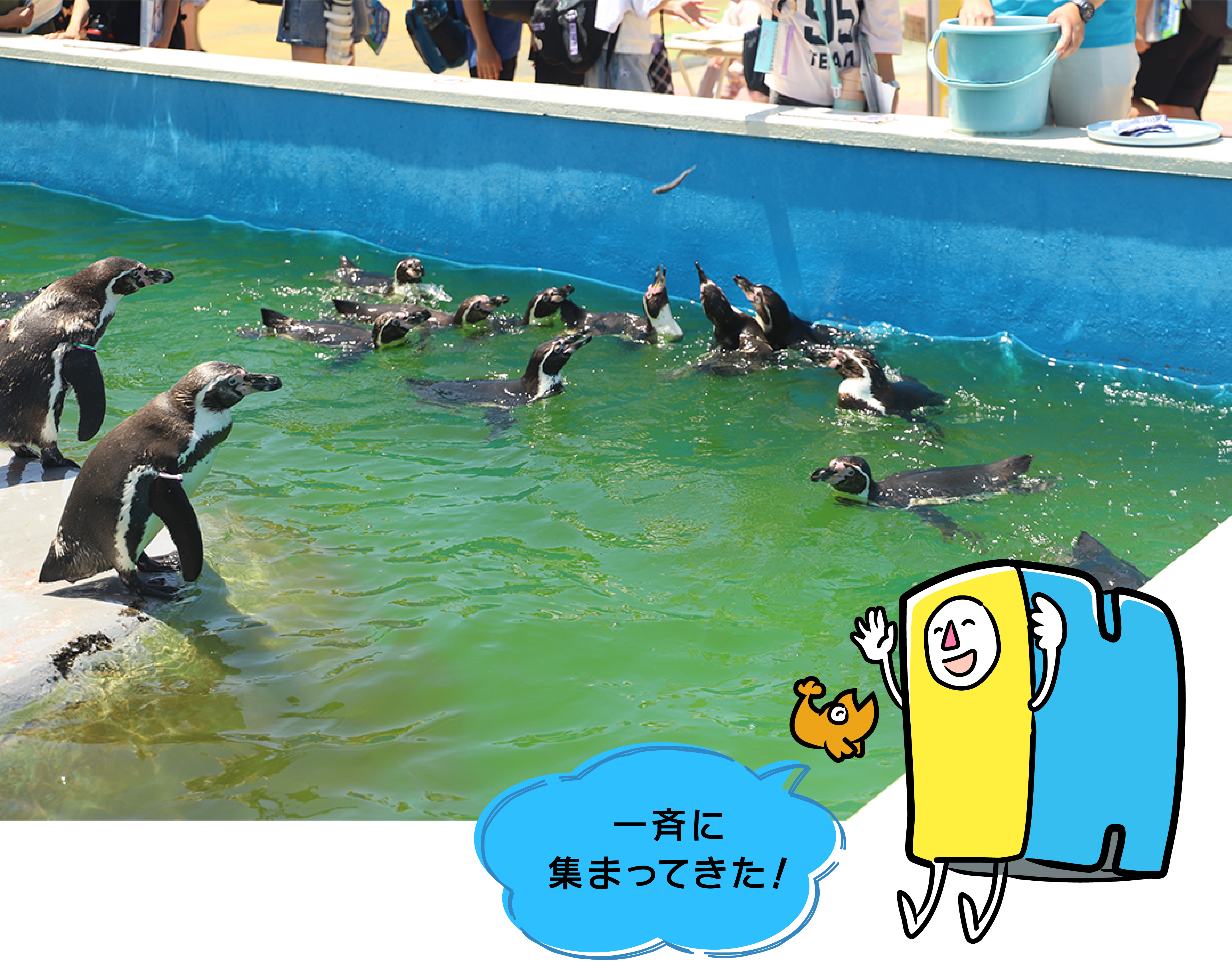 hirobakuntoiku_132-18