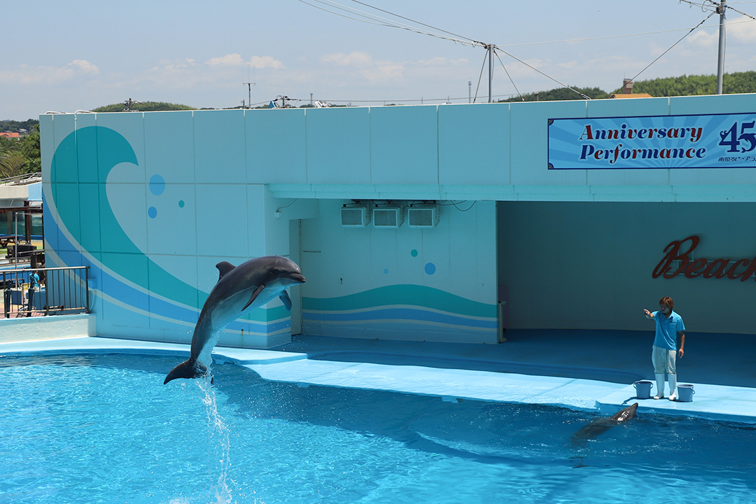 ZOOっともパーク,いきもの,ふれあい,南知多ビーチランド,イベント,2025