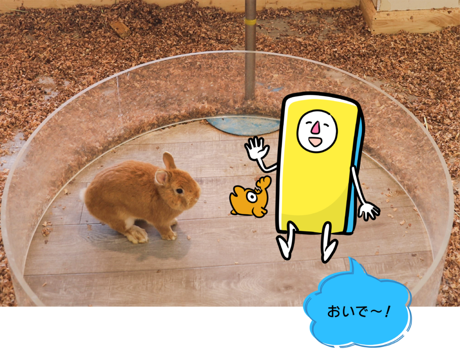 ZOOっともパーク,いきもの,ふれあい,南知多ビーチランド,イベント,2025
