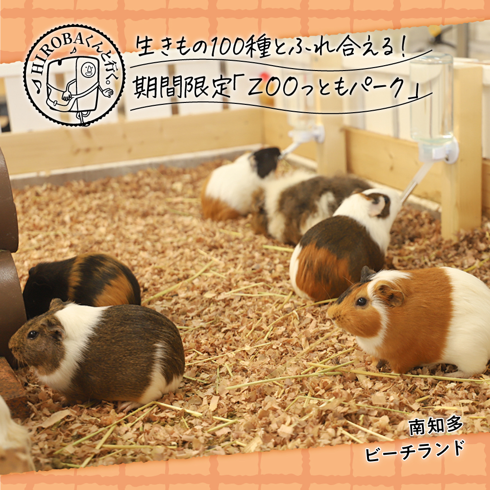 slider-hirobakun_132-sp