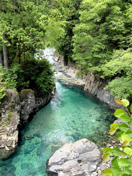 日帰りバスツアー,名古屋,長野,育樹,森,阿寺渓谷,縄文土器,色塗り,木工体験,親子