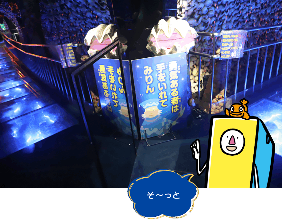 竹島ファンタジー館,竹島,B級スポット,貝,テーマパーク,蒲郡