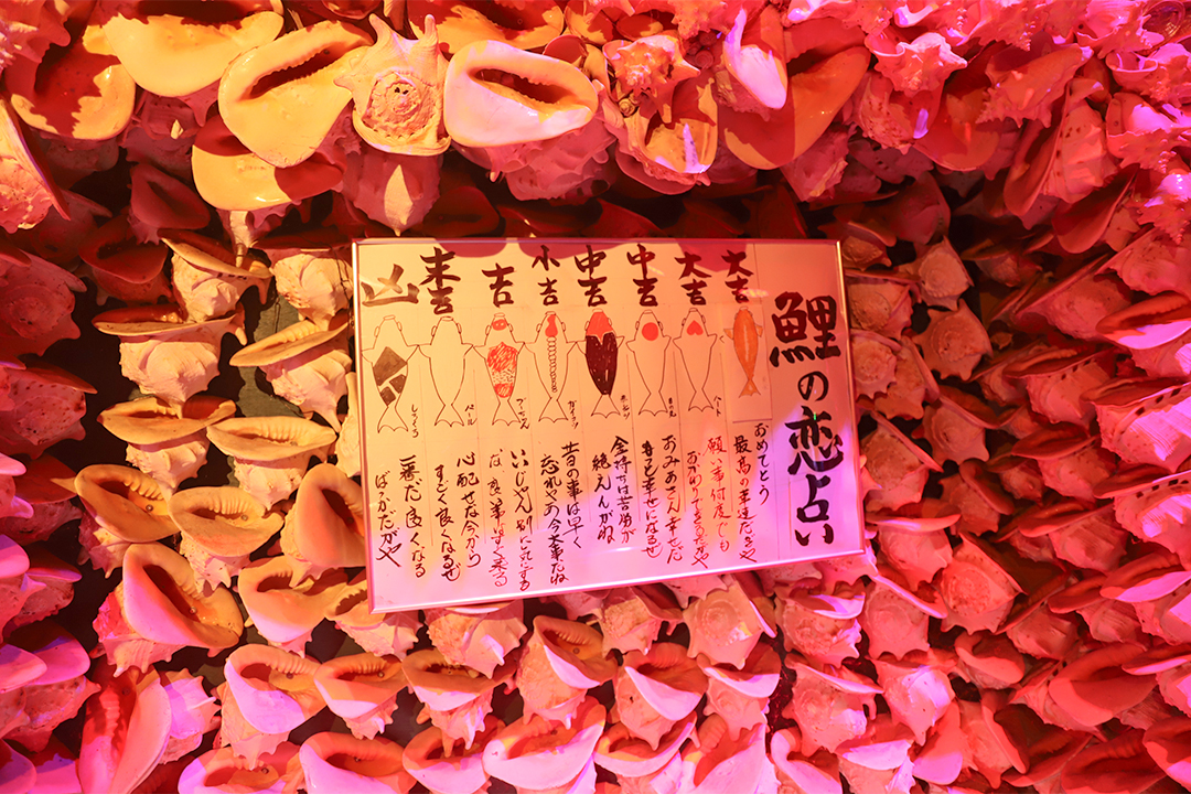 竹島ファンタジー館,竹島,B級スポット,貝,テーマパーク,蒲郡