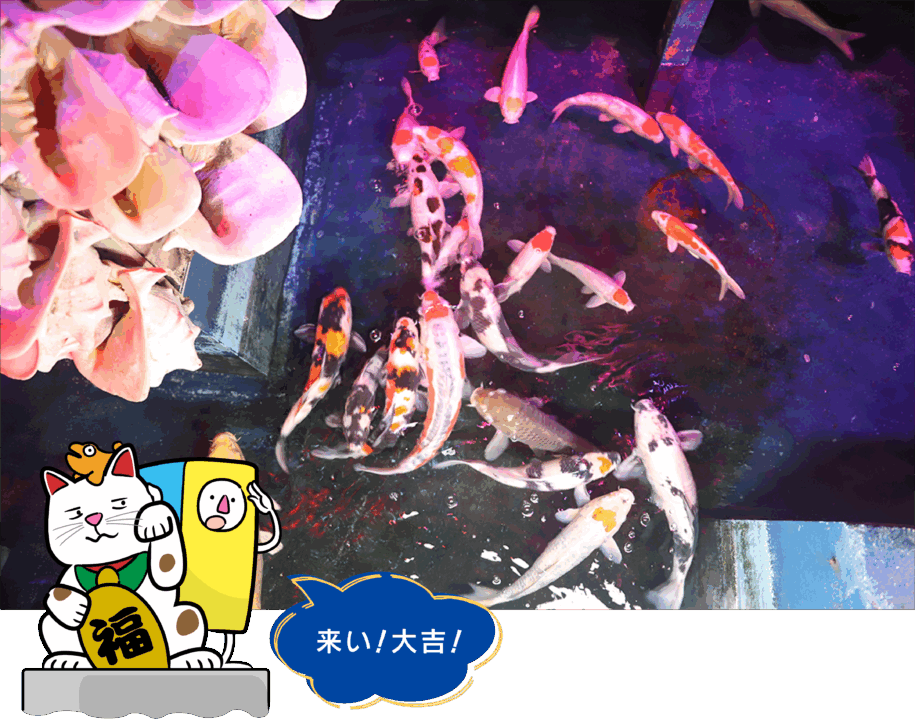 竹島ファンタジー館,竹島,B級スポット,貝,テーマパーク,蒲郡
