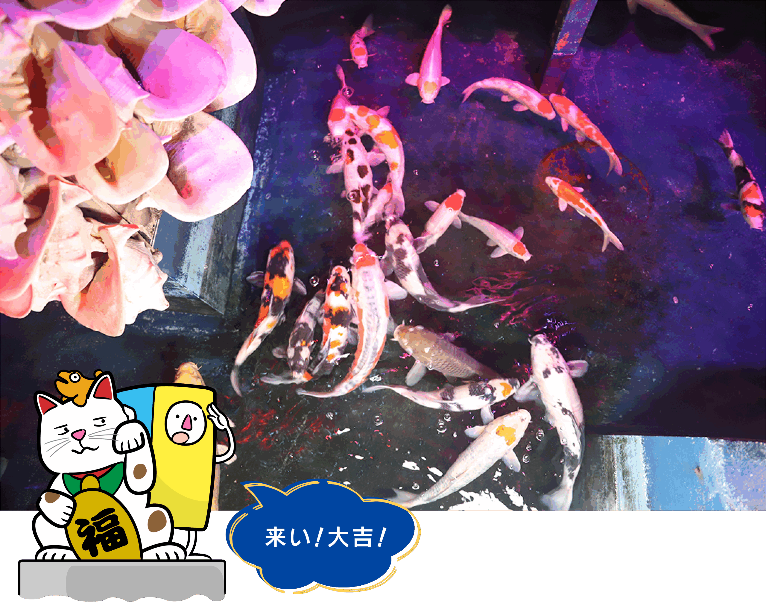 hirobakuntoiku_132-22