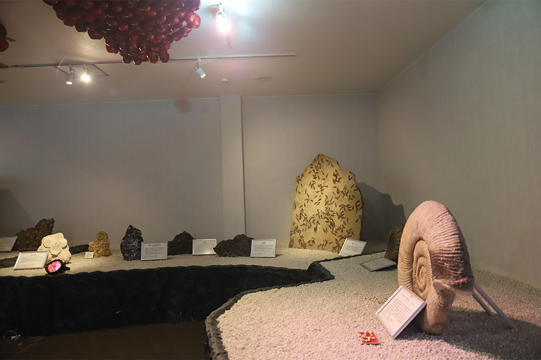 hirobakuntoiku_132-26