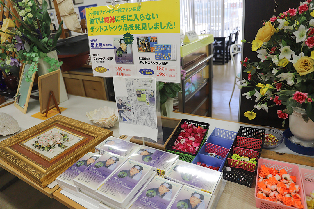 竹島ファンタジー館,竹島,B級スポット,貝,テーマパーク,蒲郡