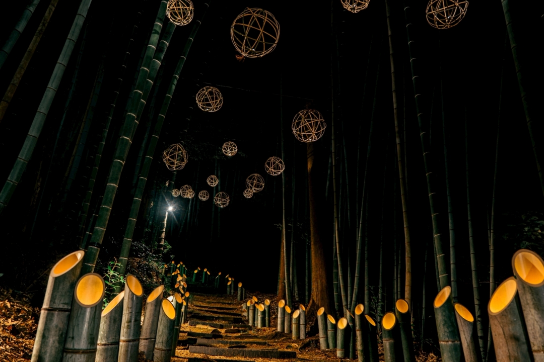 宵の道,竹あかり,イベント,犬山,善師野