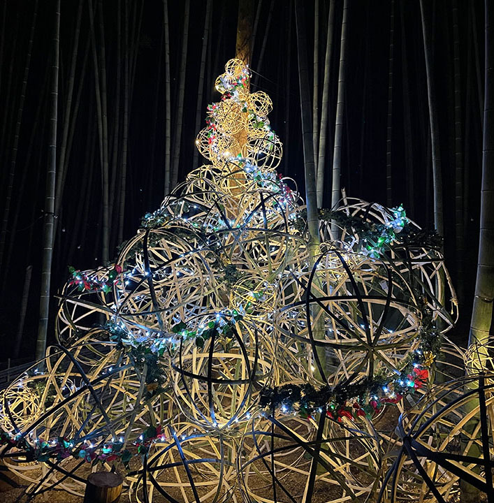 Movement_1219_07