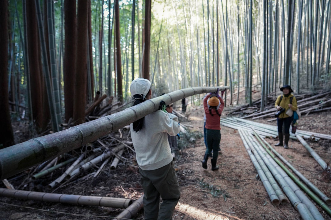 宵の道,竹あかり,イベント,犬山,善師野