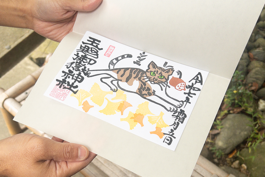 猫,神社,愛知,春日井,猫,神社,玉野御嶽神社