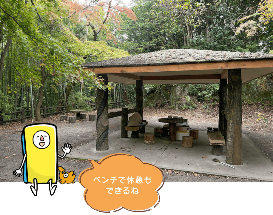 猫,神社,愛知,春日井,猫,神社,玉野御嶽神社