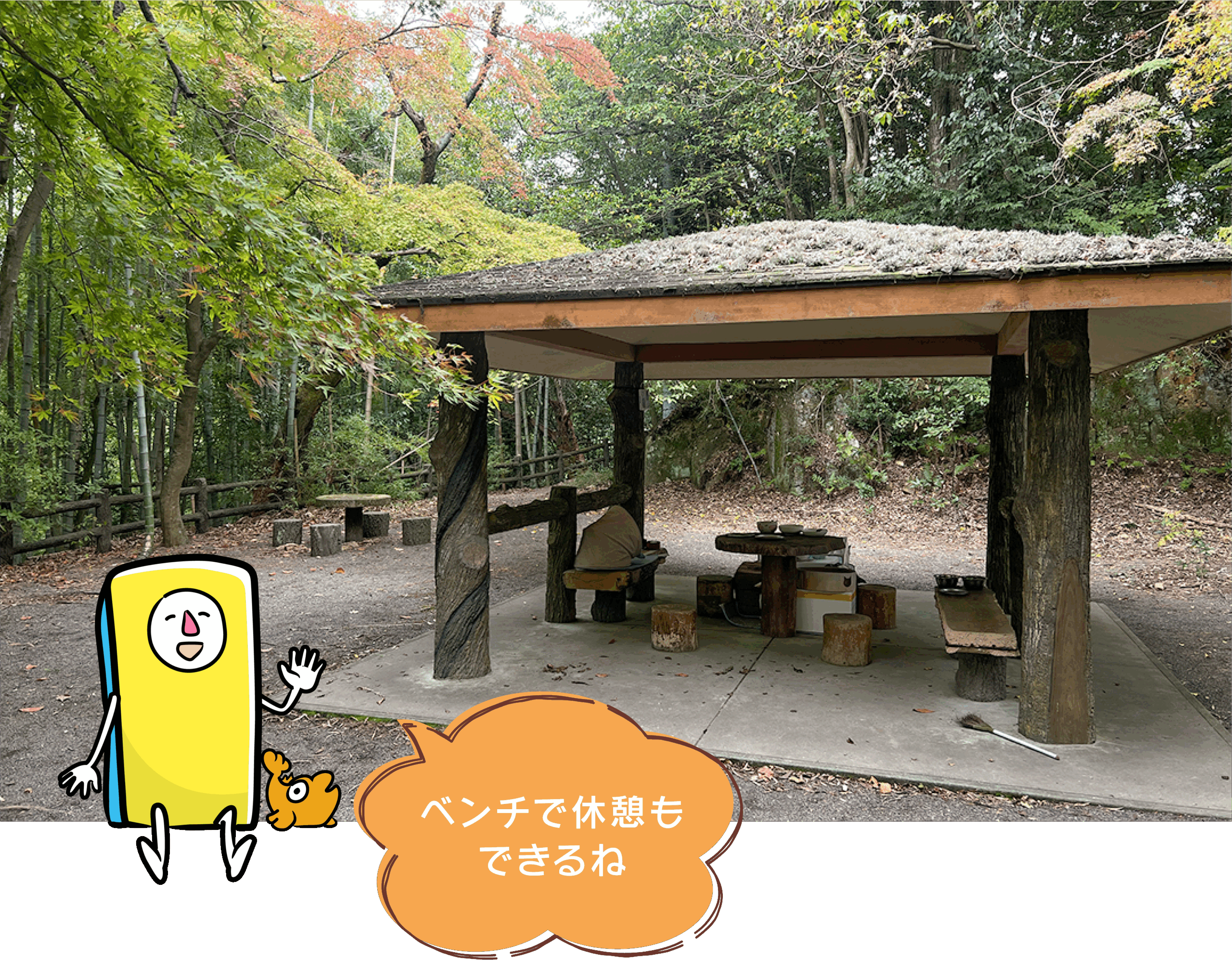 hirobakuntoiku_136-11
