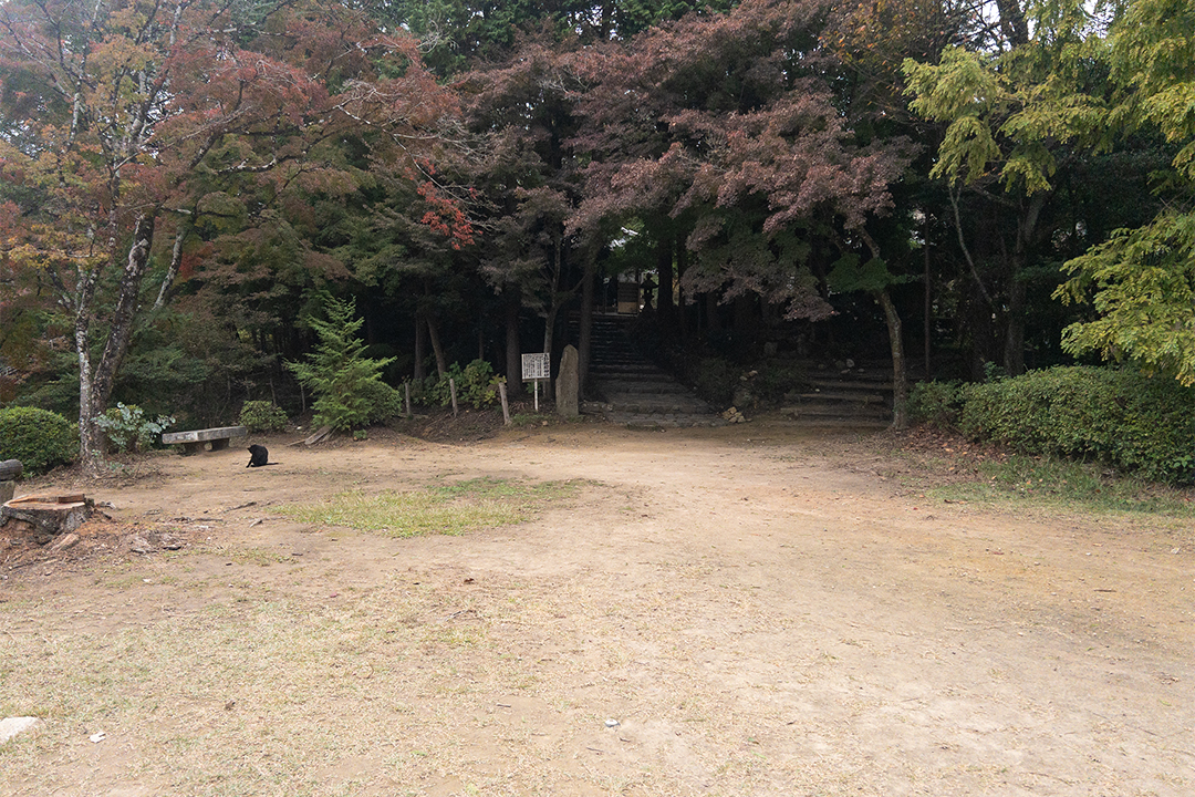 猫,神社,愛知,春日井,猫,神社,玉野御嶽神社