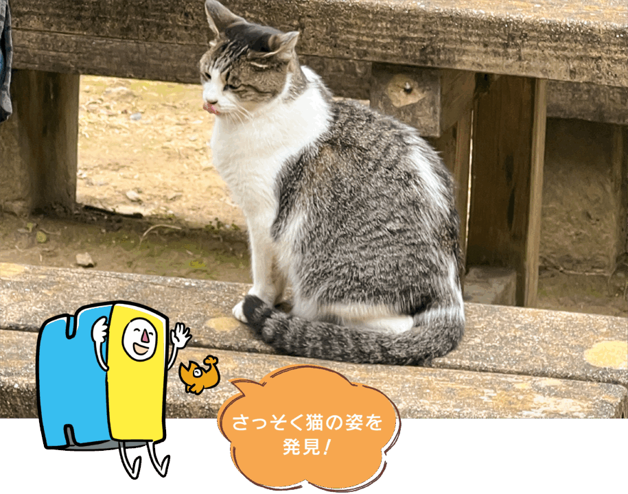 猫,神社,愛知,春日井,猫,神社,玉野御嶽神社