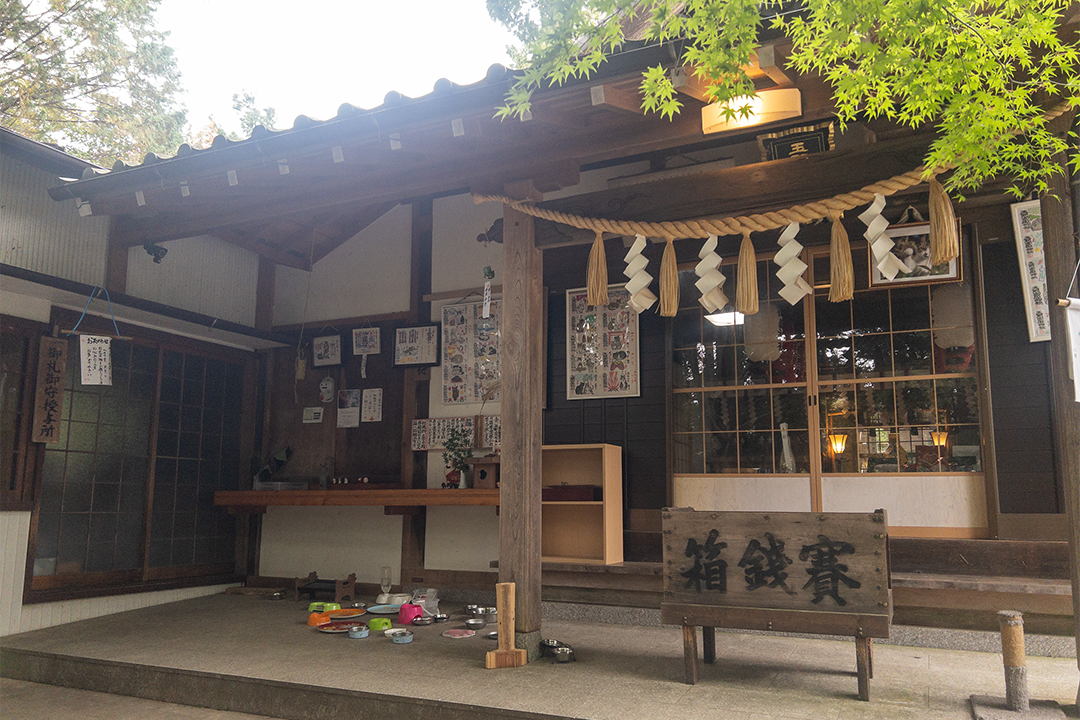 猫,神社,愛知,春日井,猫,神社,玉野御嶽神社