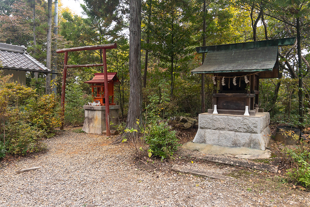 猫,神社,愛知,春日井,猫,神社,玉野御嶽神社