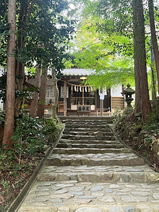 猫,神社,愛知,春日井,猫,神社,玉野御嶽神社